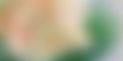 Easy Coleslaw Recipe