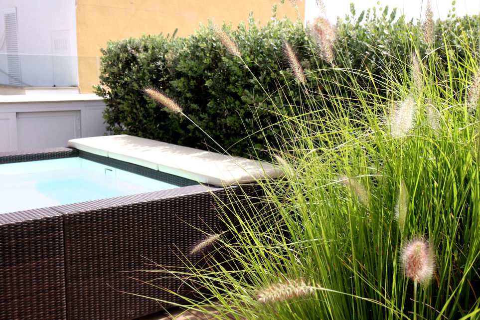 Ornamental grass and shrubs in planters making the pool space more intimate.