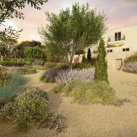 3D Visualisation of Mediterranean gravel garden.