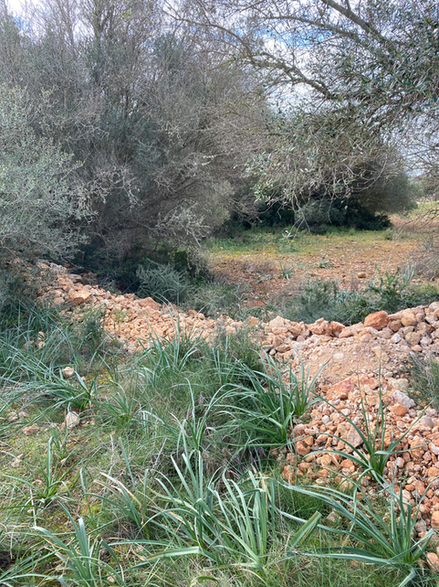 Before the stone walls were built