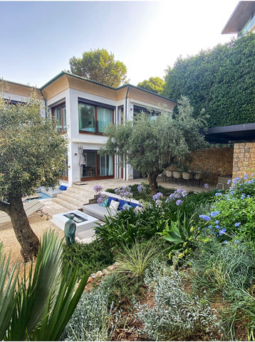 Seaside contemporary garden