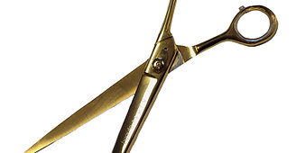 Beaute Tsuru Barber shears 10" Straight Gold