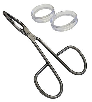 BT 237 Blunt BF 11.jpg