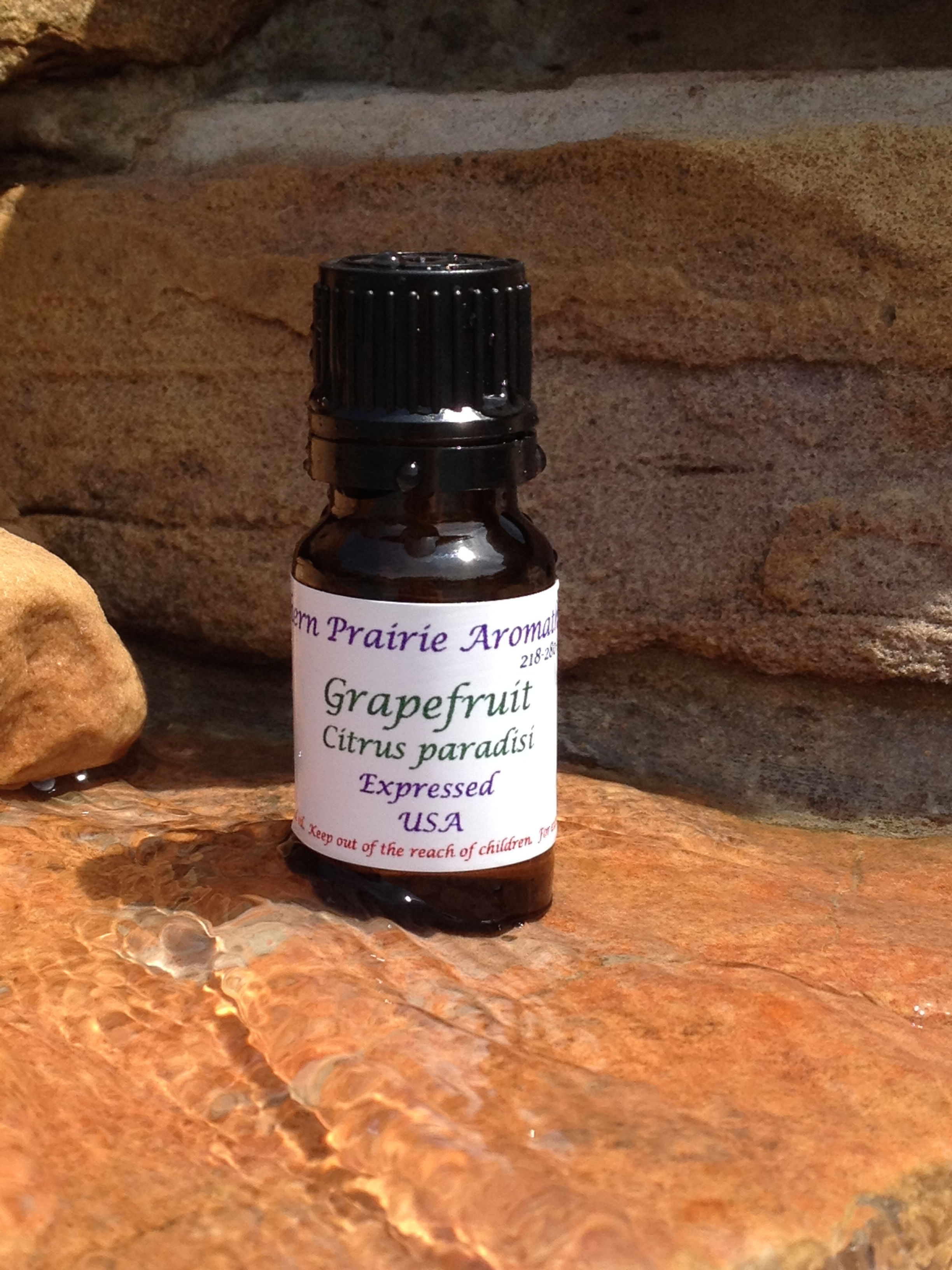 Grapefruit (Citrus paradisi)