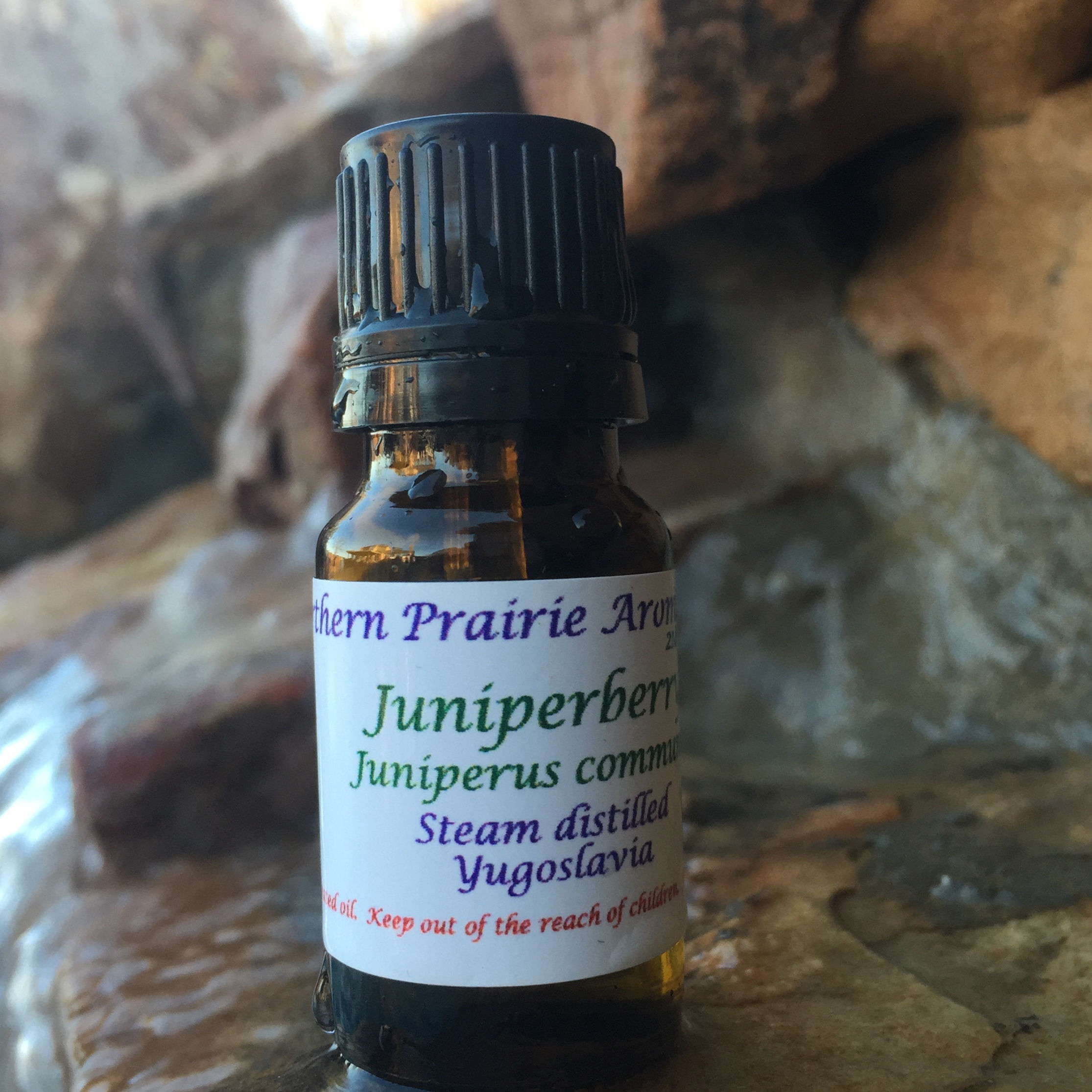 Juniper Berry (Juniperus communis)