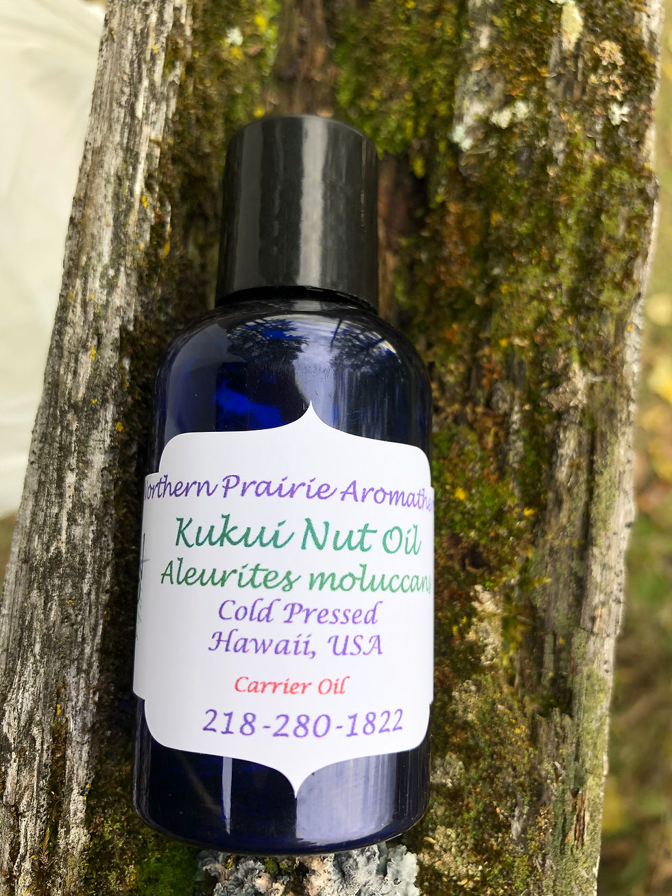 Thumbnail: Kukui Nut (Aleurites moluccans) Organic Carrier Oil