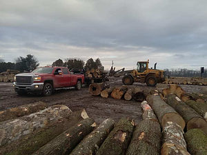 Lot Clearing.jpg
