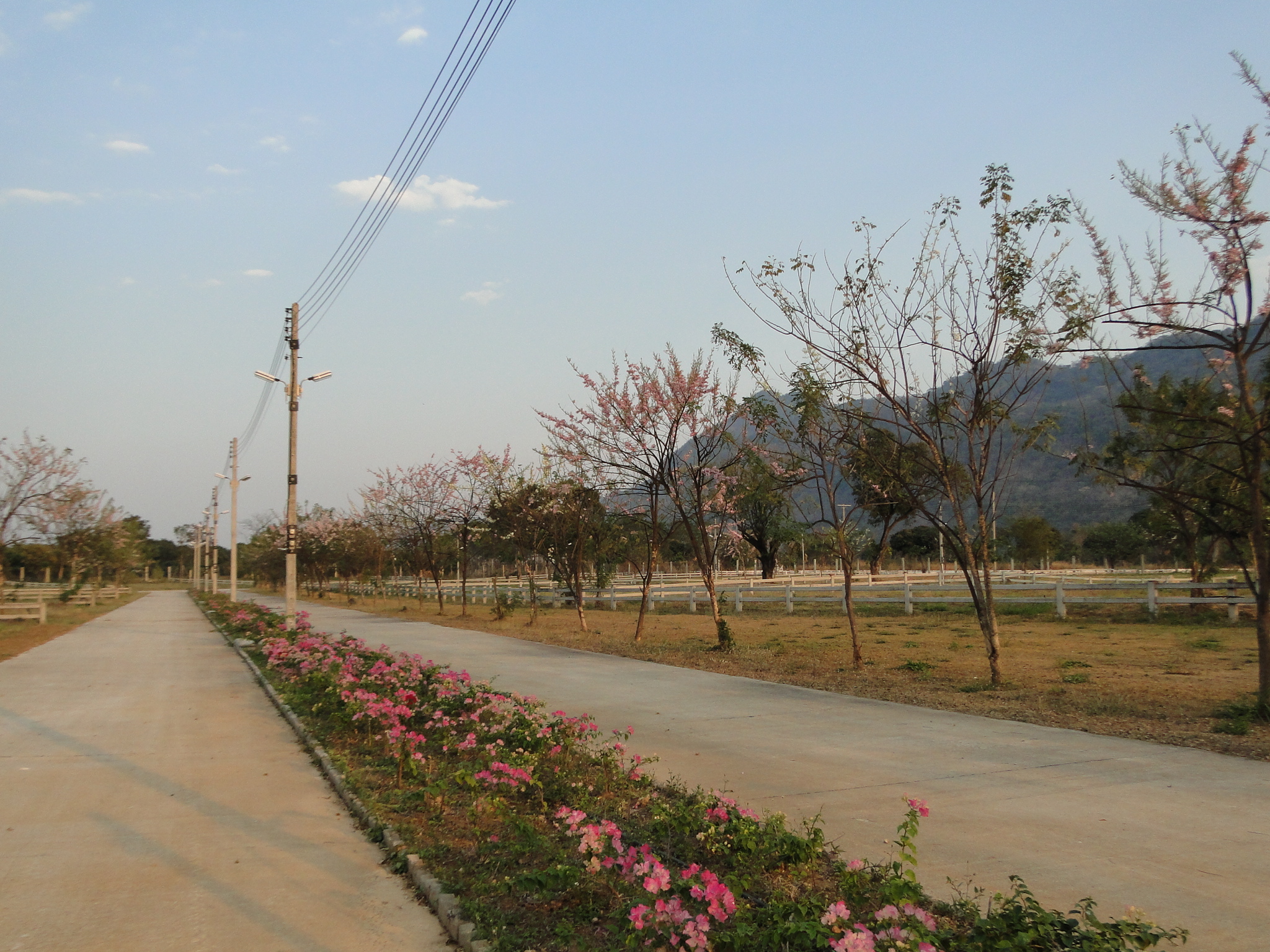เขตถนนกว้างทั้งโครงการ 12-16 เมตร