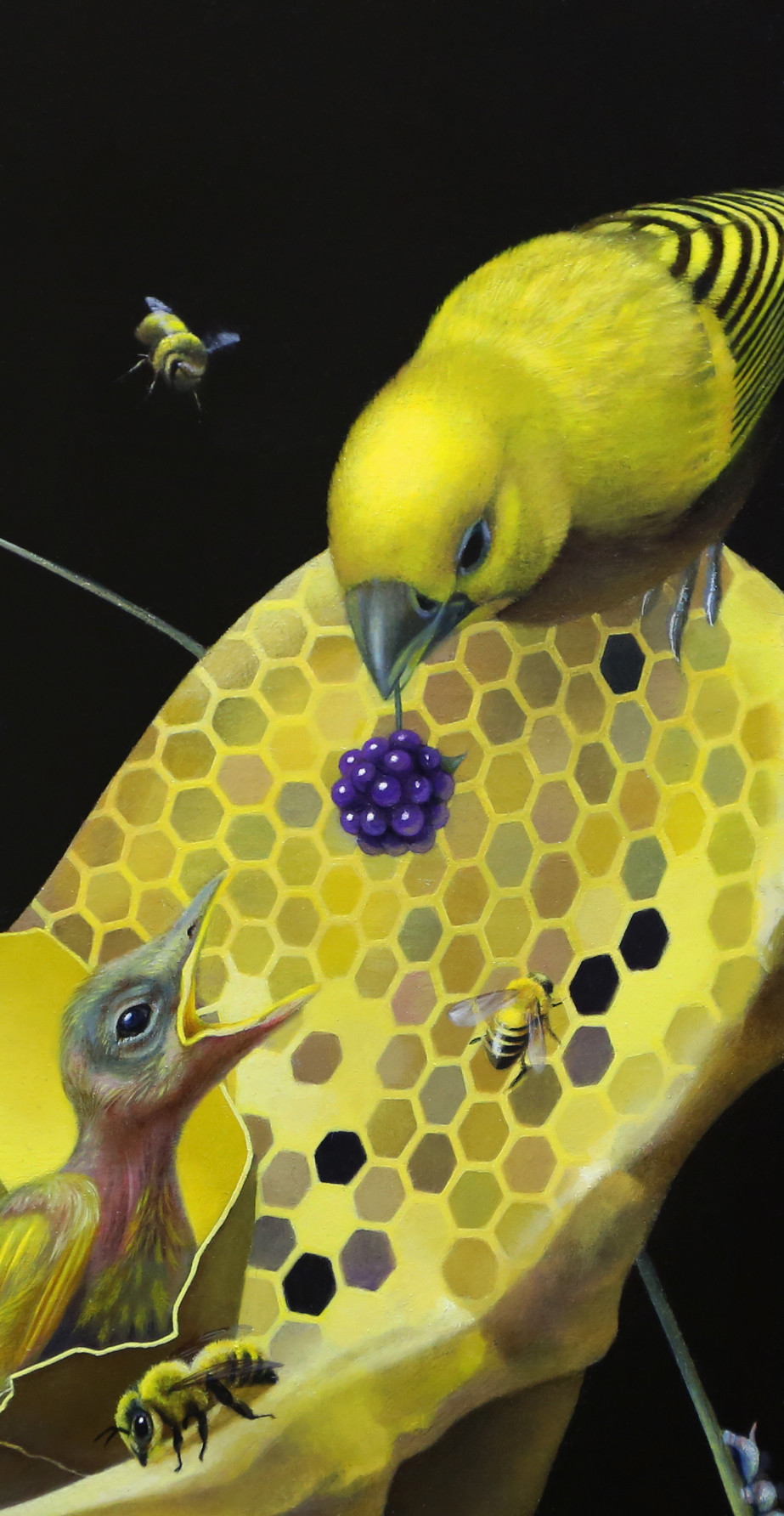 巣 NEST (部分 part) h38.0 w45.5cm Oil Painting