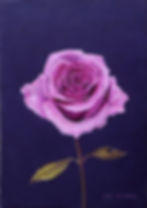 Rose DarkBlue