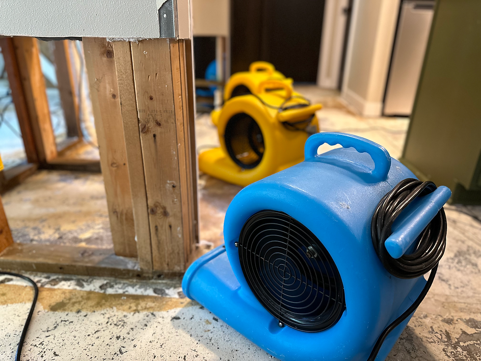 Blue and yellow industrial fans on a dusty floor in an unfinished room with exposed wood framing and cables