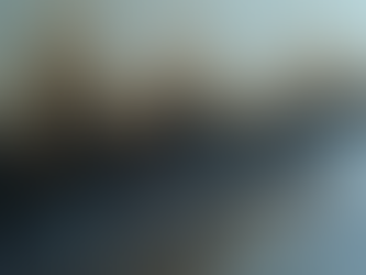 Understanding Black Mold Removal Methods