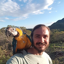 foto henrique.jpeg