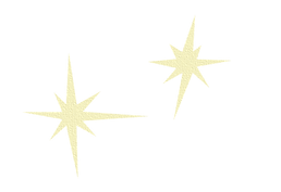 wep-stern3_edited.png