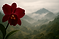 ChatGPT Image Aug 17, 2025, 01_27_37 AM.png