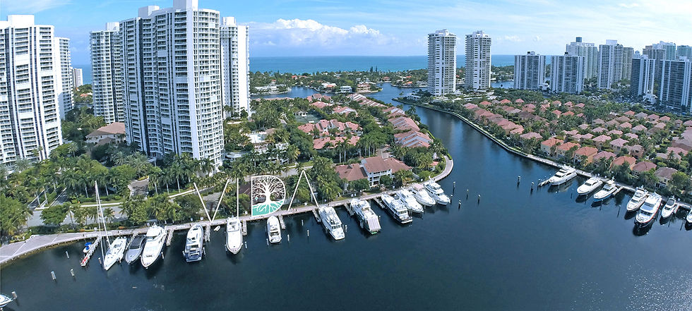VIDA Aerial Photo.jpg