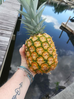 Pineapple