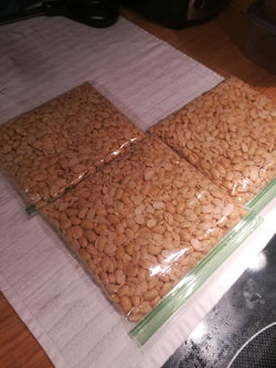 Homemade Tempeh
