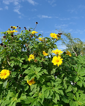 DSC09429.JPG