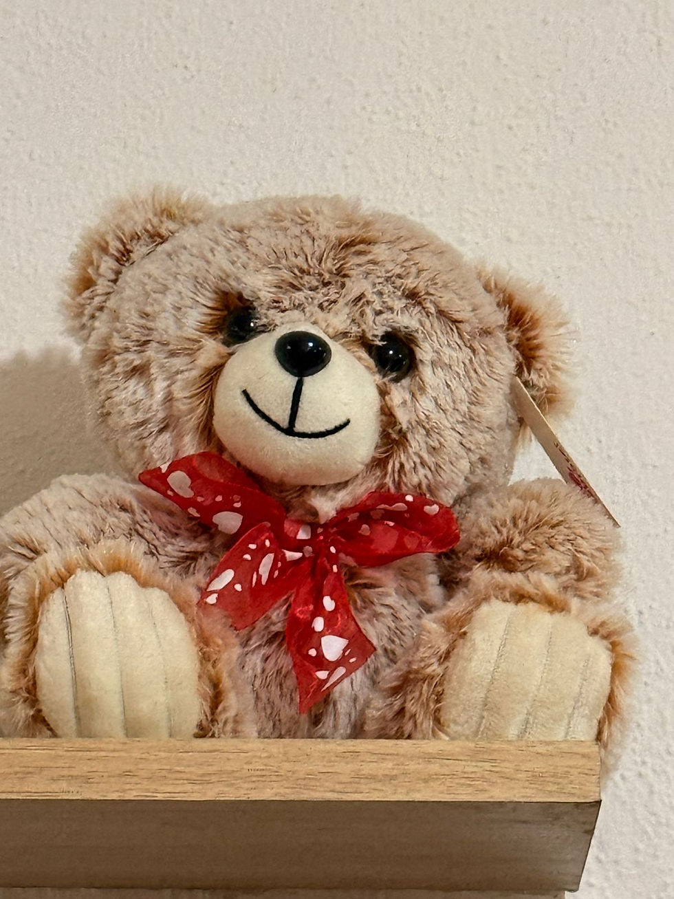 Miniatura: Peluche chico