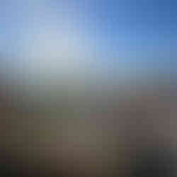 Unser Ausblick