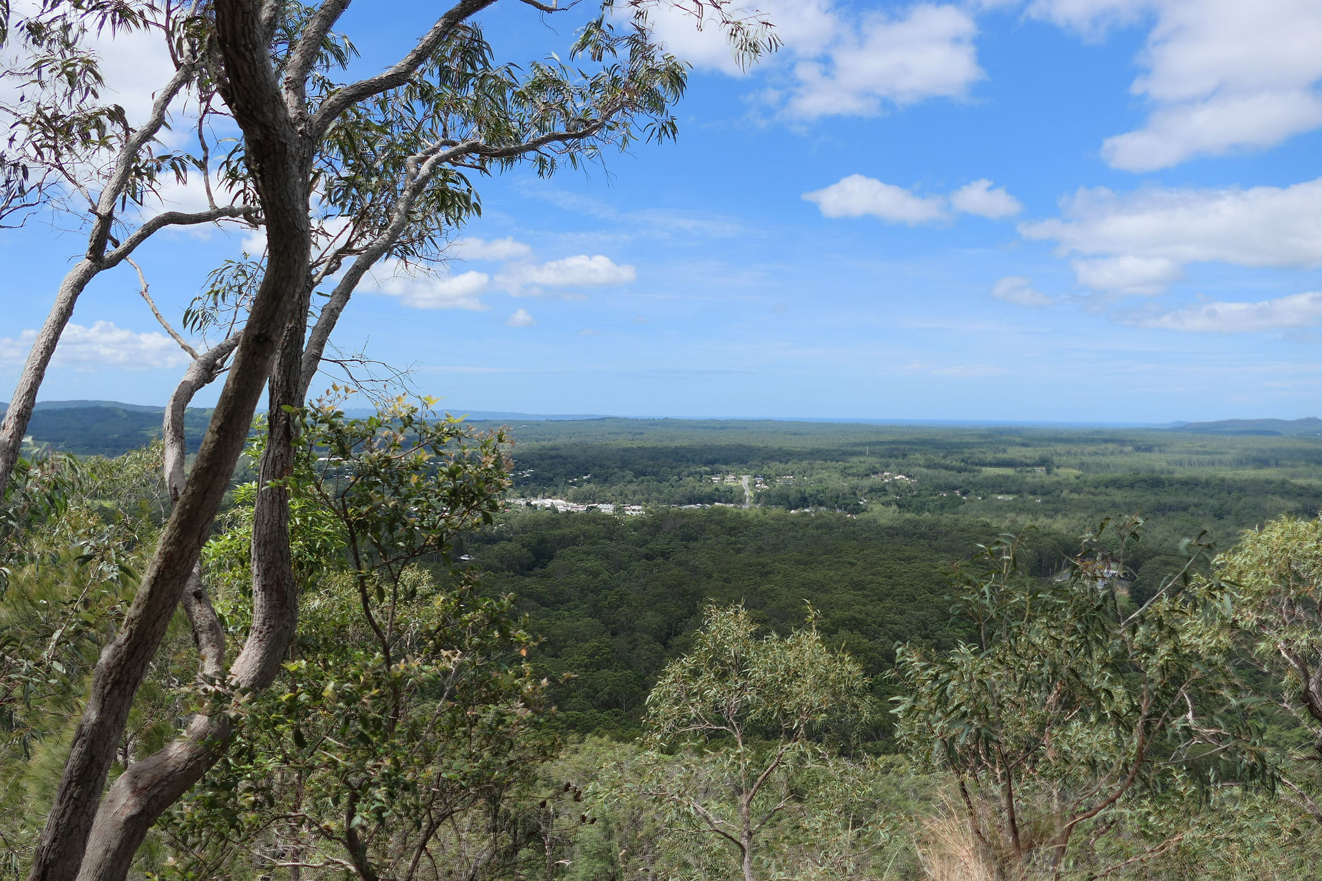 Cooroora Mountain Lookout