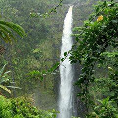 Akaka Falls
