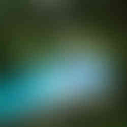 Tambuli Resort & Spa