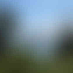 Ausblick von Mrs Macquarie´s Chair