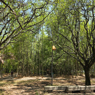 Parque de los Pies Descalzos