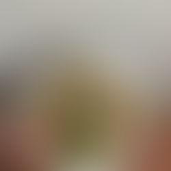 Naked Chicken Burger Bowl