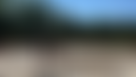 D-Cup der Frauen am 26.05.24