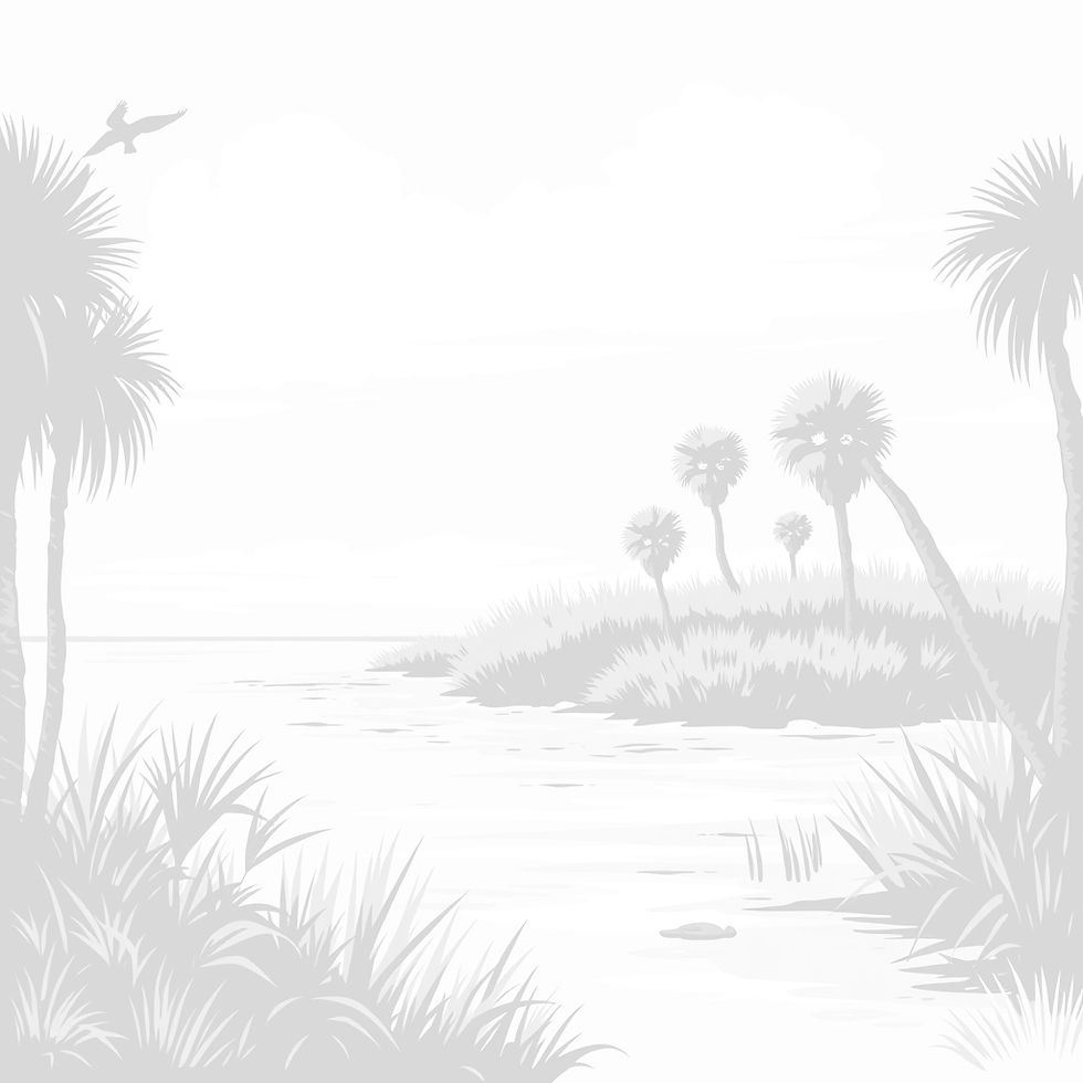 Coastal Carolina Lowcountry_edited.jpg