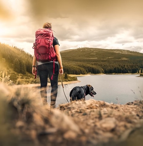 Sensitive dog training outdoors with professional guidance