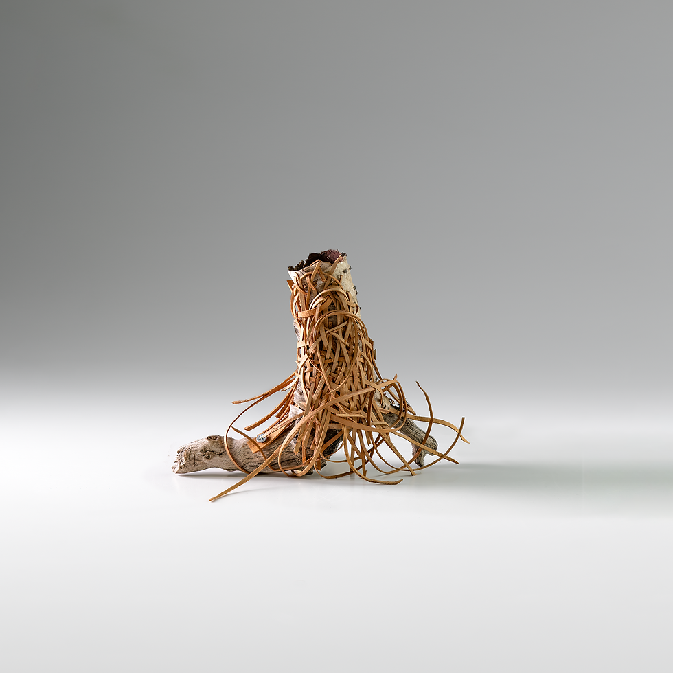 BB Rooted © Karen Lang