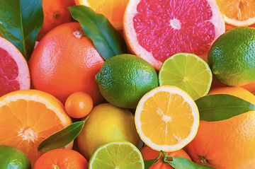 Vegan Skincare Natural Vegan Skin Care