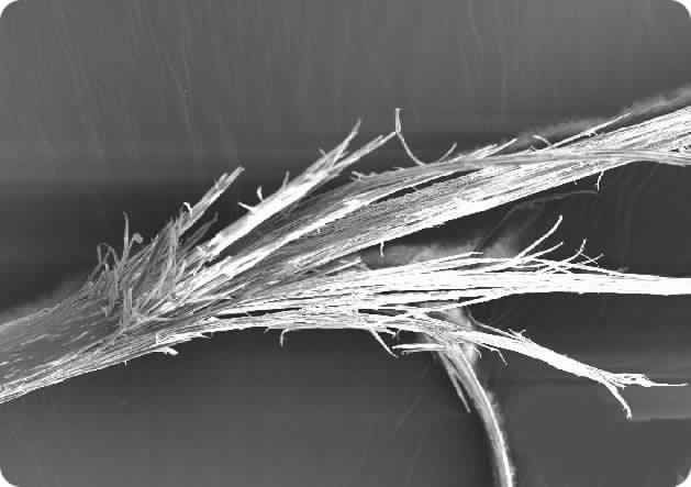 Split-Ends1.jpg