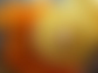 Orange and grapefruit juice