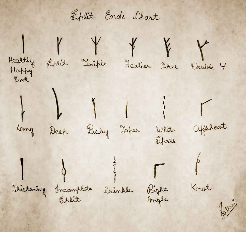 split ends.jpg