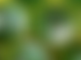 Reduce, Reuse… Repost