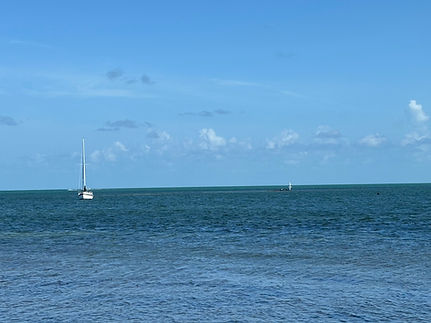 IMG_0633.jpg