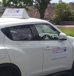 VIPaws pet taxi service Hove