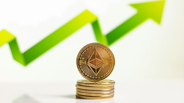investment display 3.jpg
