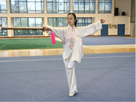 太極拳 演舞