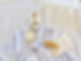 4808624_m.jpg