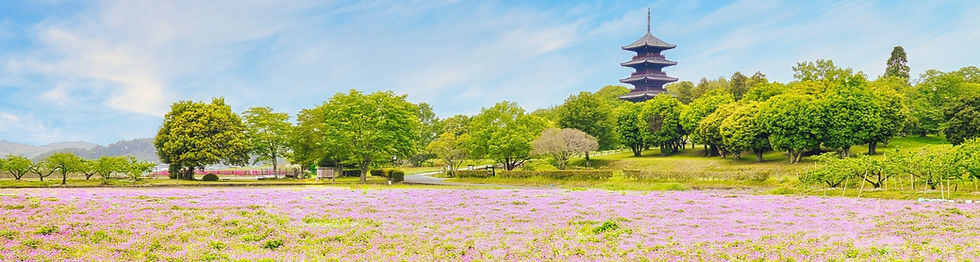 公園