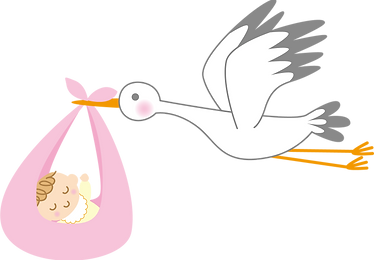 こうのとりがはこぶ赤ちゃん