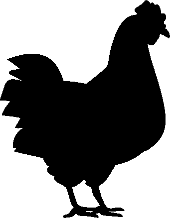 chiken