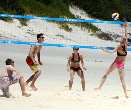 cOED aDV.gif