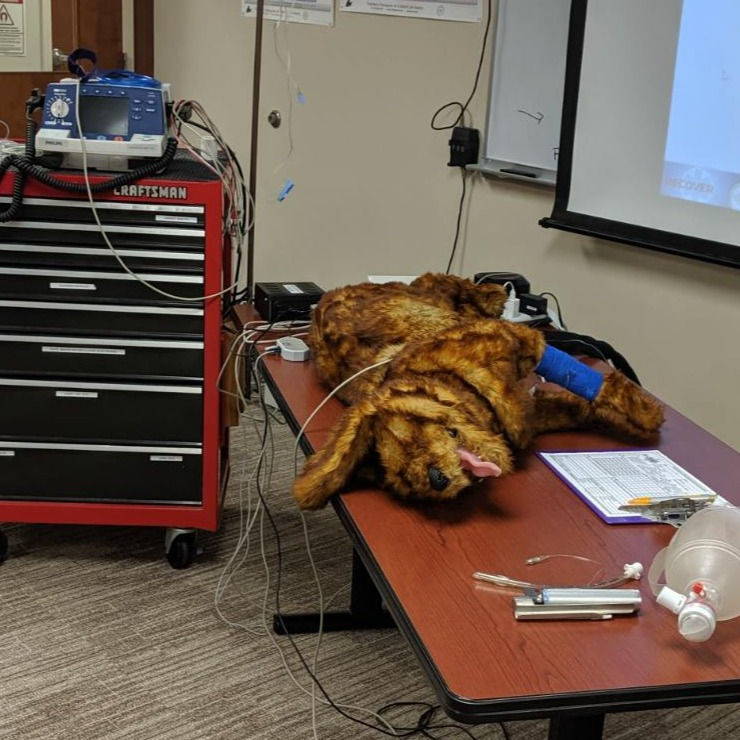 Electronic CPR training manikin